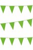 Vlaggenlijn groen (10m)