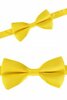 Vlinderstrik geel