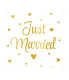 Huldeschild - Just Married