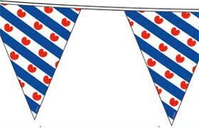 Friese vlaggenlijn 10 meter