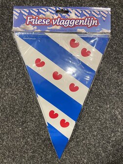 Friese vlaggenlijn 10 meter foil