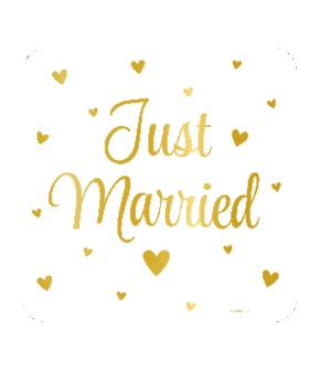 Huldeschild - Just Married